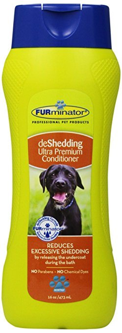 The 7 Best Shed Control Dog Shampoos (Answered by a Local Expert)