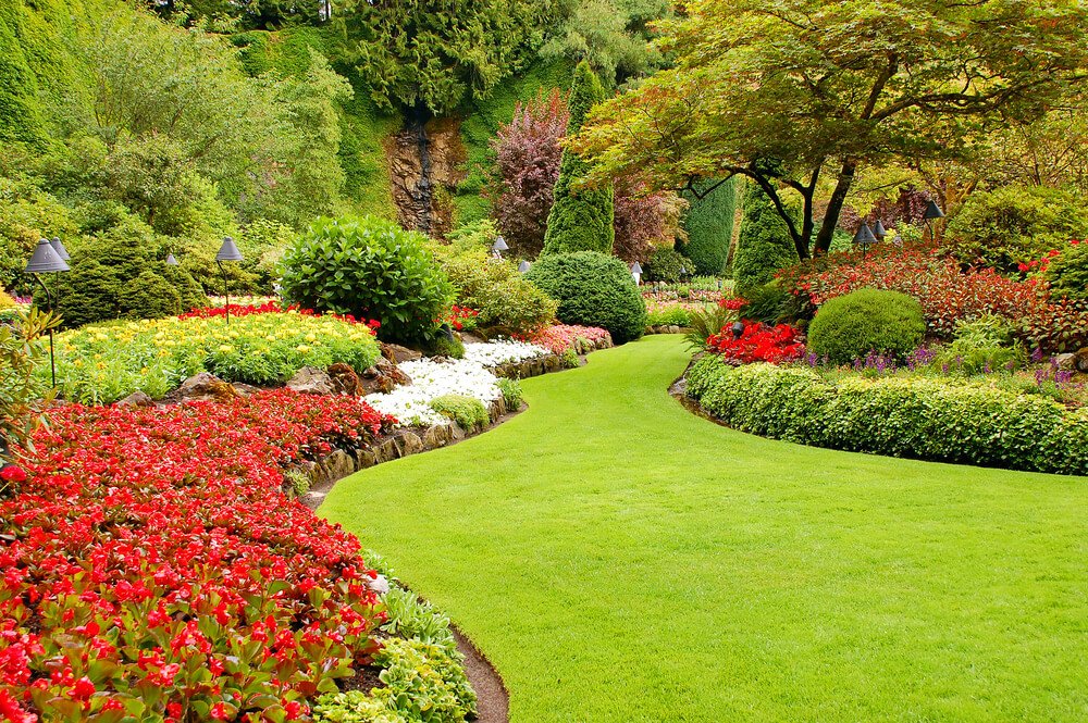 How To Make Your Front Yard Look Nice Answered By A Local Expert 