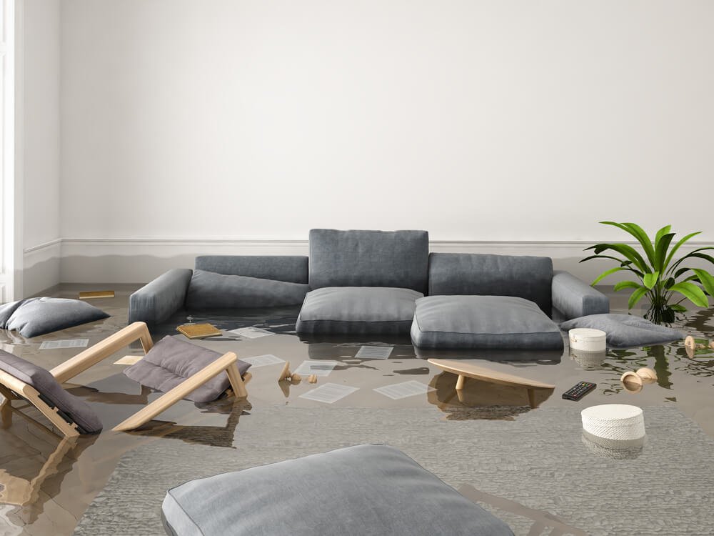 What Is Water Damage Restoration and How Much Does It Cost