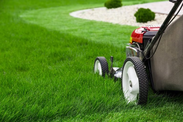 Why Put Straw Over Grass Seed? (Answered by a Local Expert)